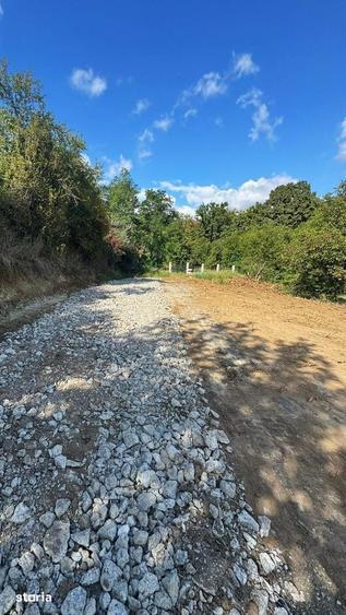 Teren de 900 mp, în Bucium