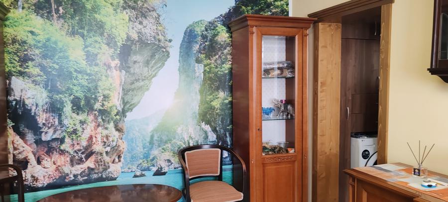 Apartament cu 2 camere semidecomandat în Olteniței