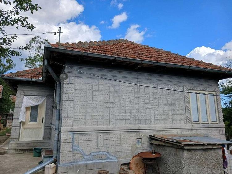 Casă cu 4 camere în Trestia