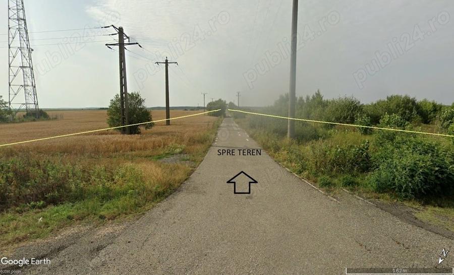 Teren de 200000 mp, în Pecica