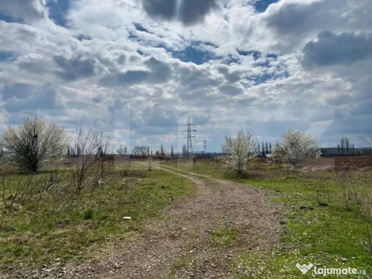 Teren de 7800 mp, în Central