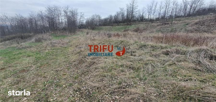 Teren de 5300 mp, în Ciugud