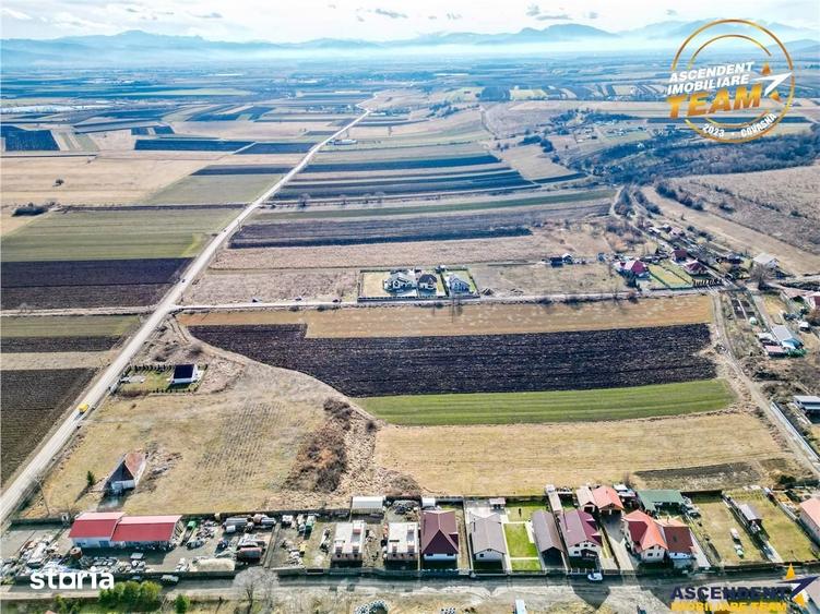 Teren de 31605 mp, în Ilieni