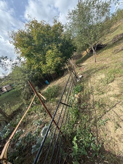 Casă cu 2 camere în Central