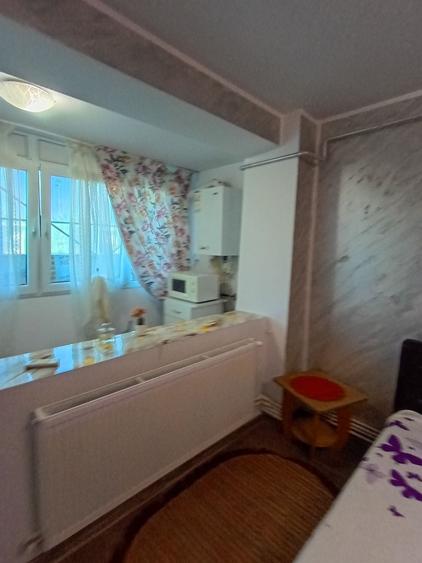 Casă cu 1 camere în Central