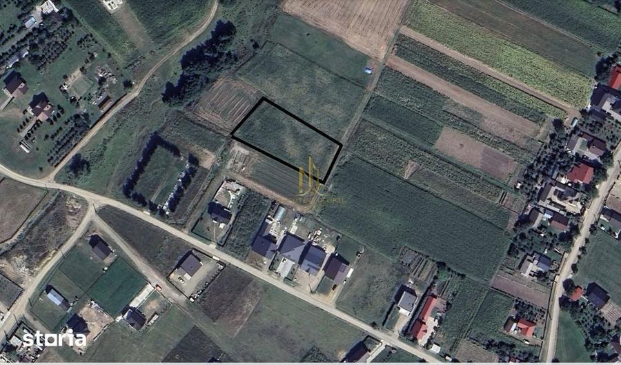 Teren de 2479 mp, în Dărmănești