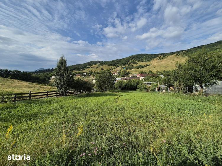 Teren de 700 mp, în Gârcina