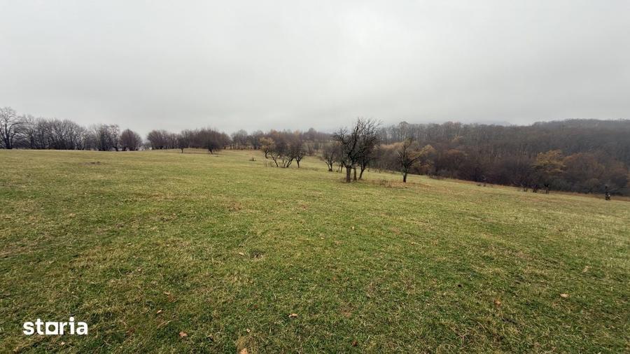 Teren de 35000 mp, în Central