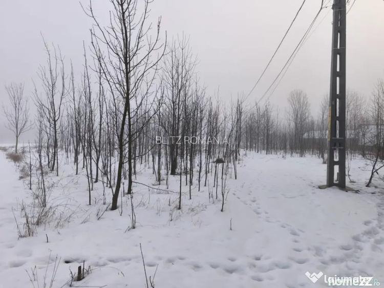 Teren intravilan , 5000mp, zona Negostina, Siret - Negostina (Suceava)