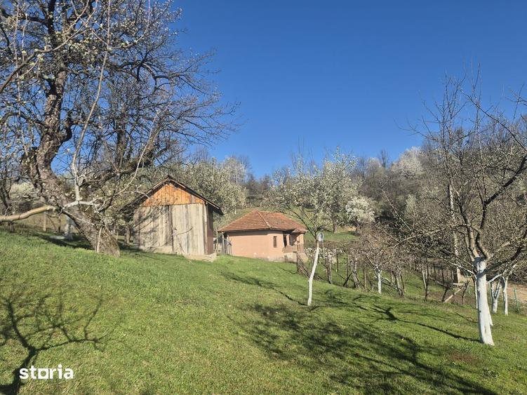Casă cu 3 camere cu Teren 2586 Mp în Central
