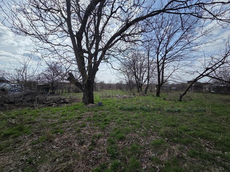 Teren Construcții intravilan de 3842 mp, în Gagu