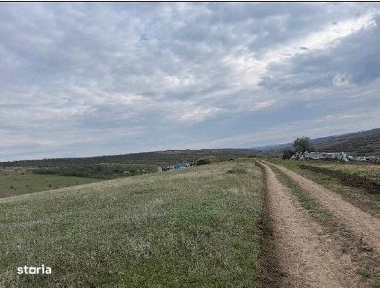 Spațiu comercial, în Perieni