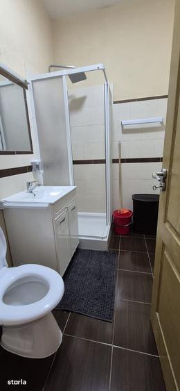 Apartament cu 2 camere în Valea Borcutului