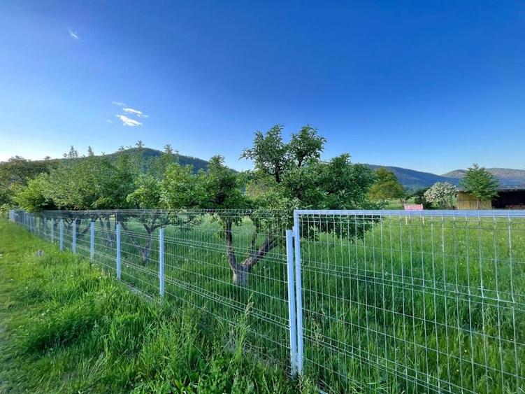 Teren de 1780 mp, în Pângărați