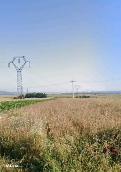 Teren de 9800 mp, în Central