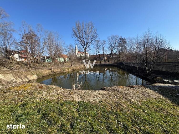 Casa cu lac in curte, Sacel, Sibiu - 13
