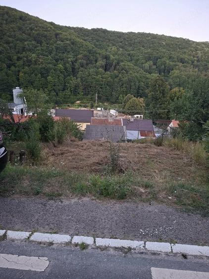 Casă cu Teren 300 Mp în Central