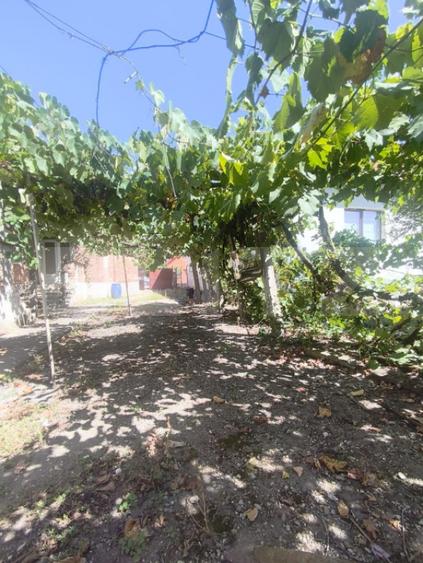 Casă cu 3 camere cu Teren 1435 Mp în Războieni-Cetate