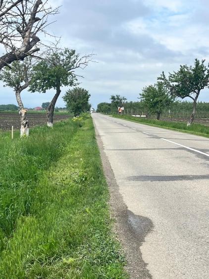 Teren agricol extravilan de 3750 mp, în Exterior Nord