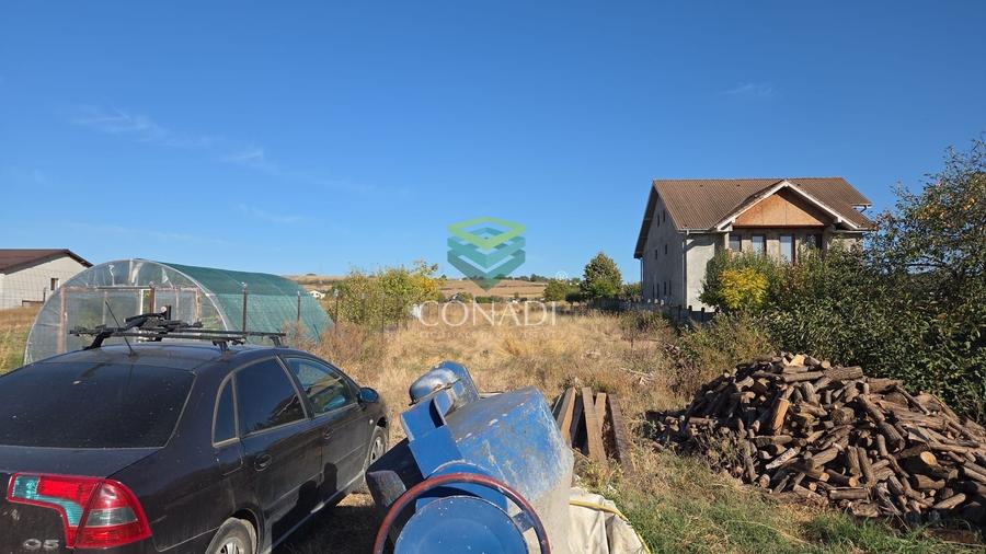 Teren agricol intravilan de 4586 mp, în Florești