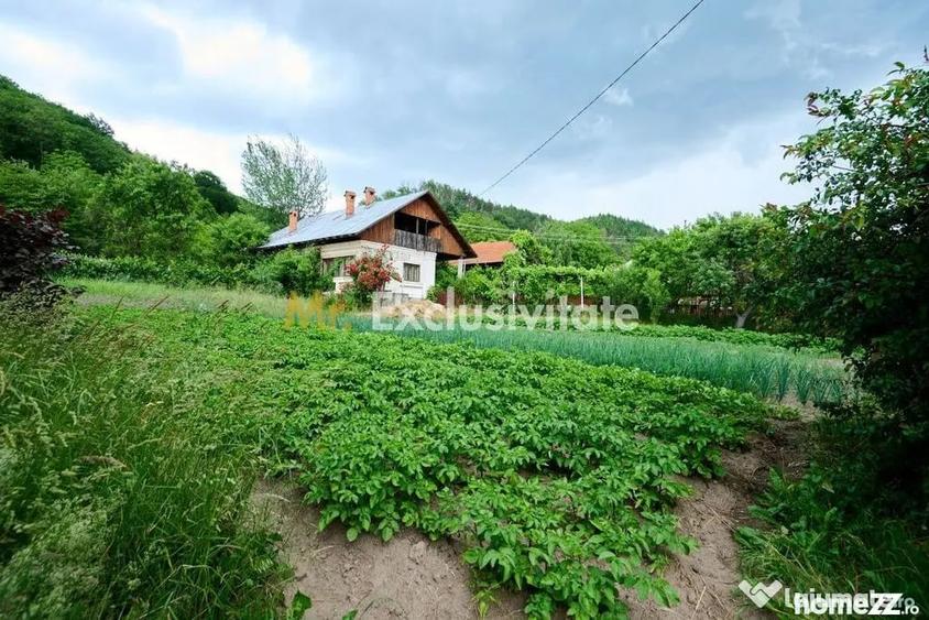 Casă cu 3 camere cu Teren 4696 Mp în Central