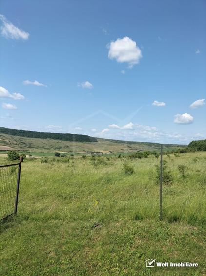 Teren agricol intravilan de 2673 mp, în Feiurdeni