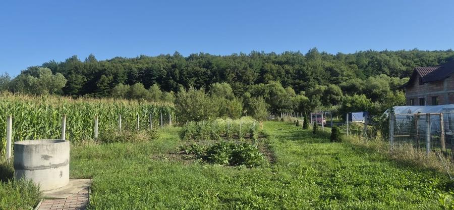 Casă individuală cu 1 camere cu Teren 1000 Mp în Sigmir