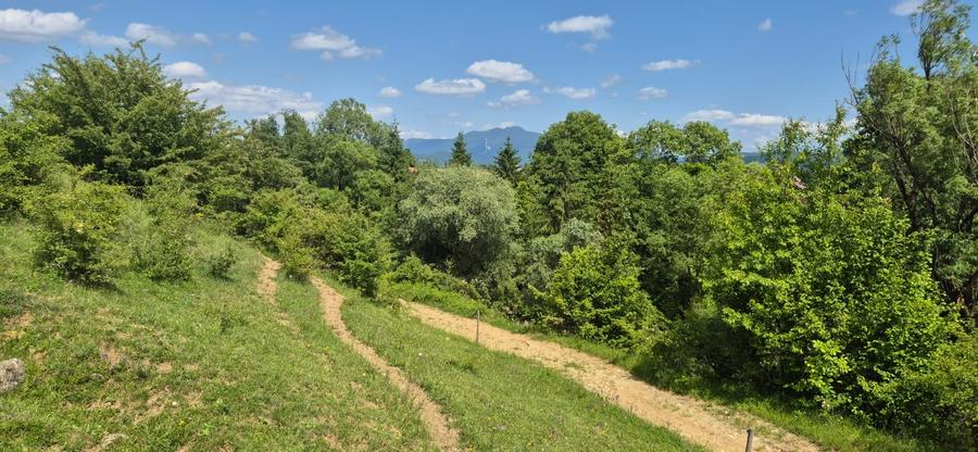 Teren agricol extravilan de 7800 mp, în Tohanu Nou