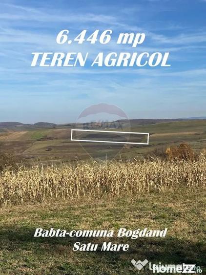 Teren în Bogdand