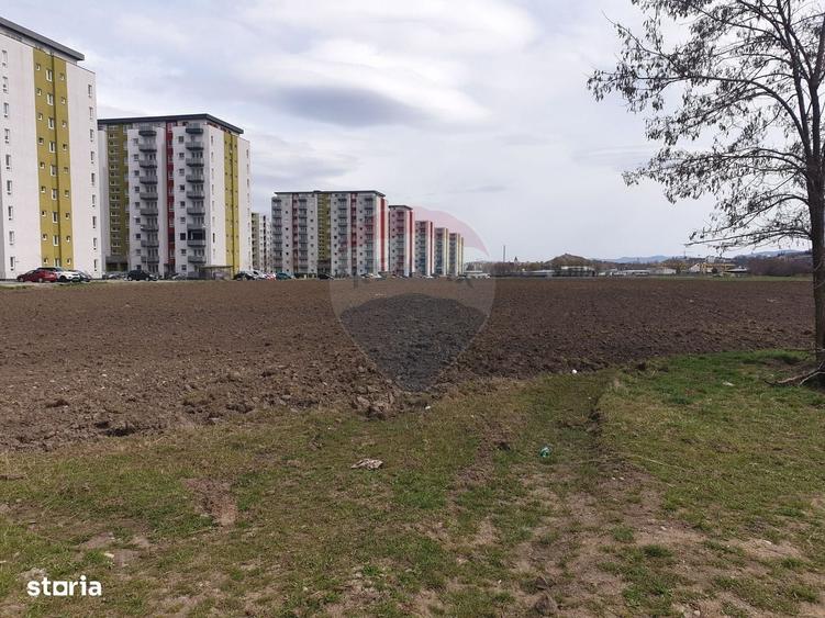 Spațiu comercial, în Avantgarden