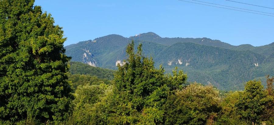 Teren agricol extravilan de 10100 mp, în Central
