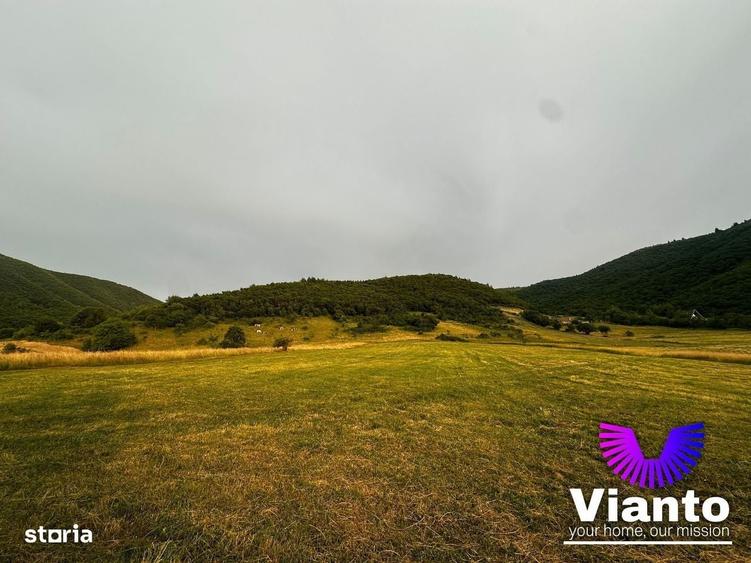 Oportunitate Teren Pt Investitie 3408mp in Gura Raului - 8