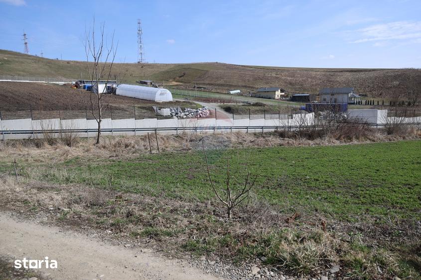 Teren de 3500 mp, în Moara