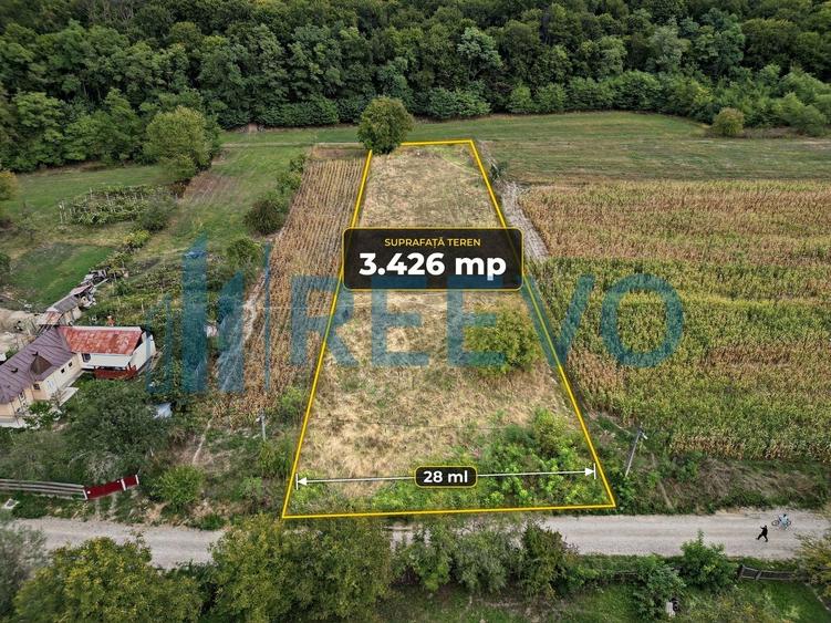 Teren Construcții intravilan de 3426 mp, în Racova