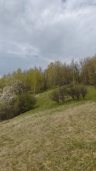Teren de 14000 mp, în Central