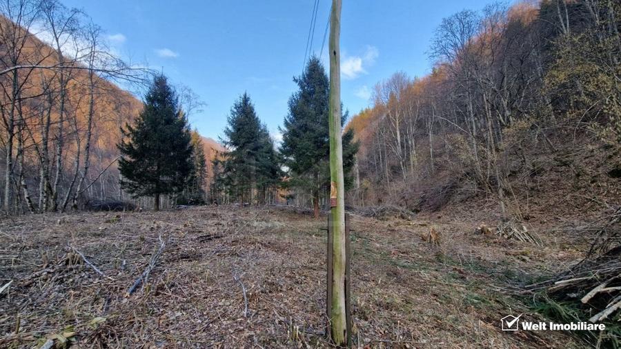 Teren Construcții intravilan de 3279 mp, în Mărișel