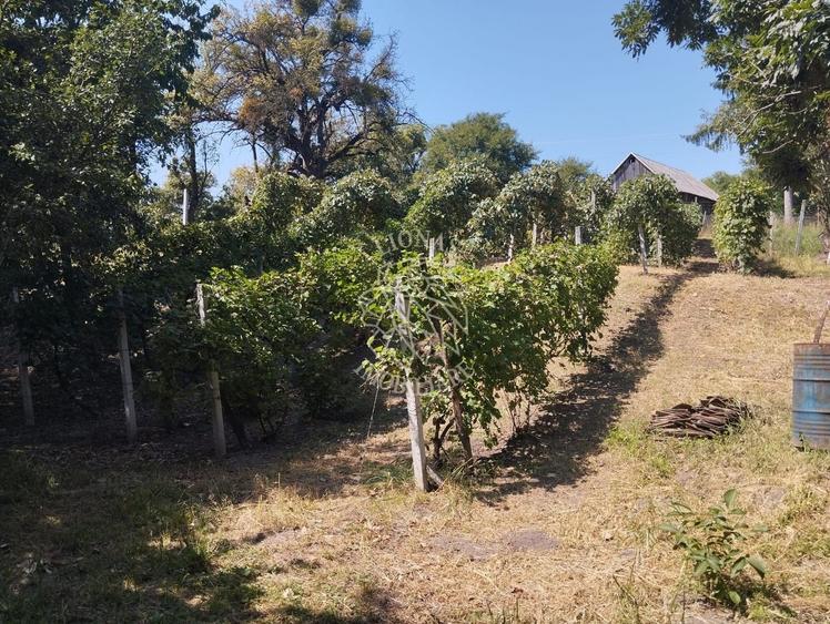 Teren Construcții intravilan de 2828 mp, în Dorolea