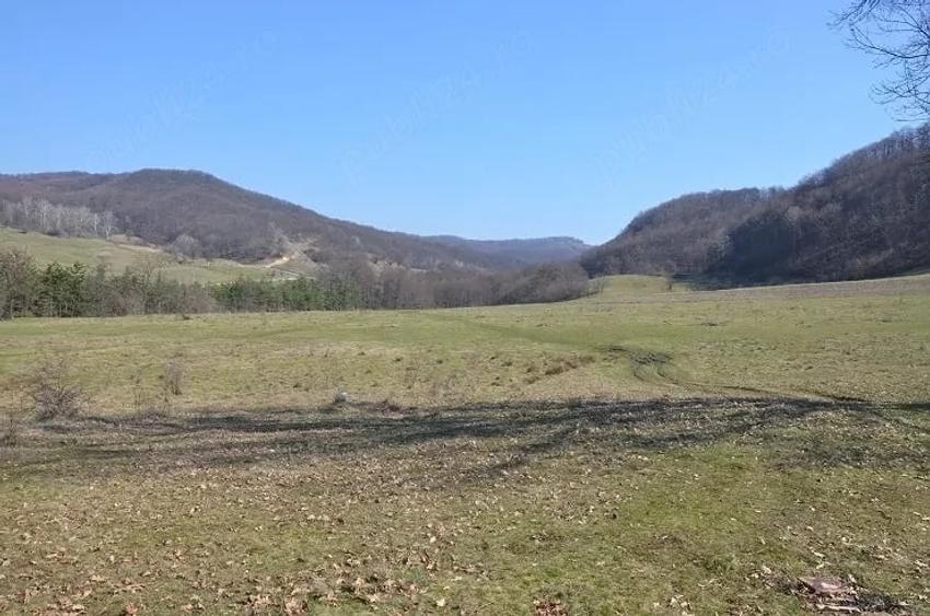 Teren de 82000 mp, în Dăești