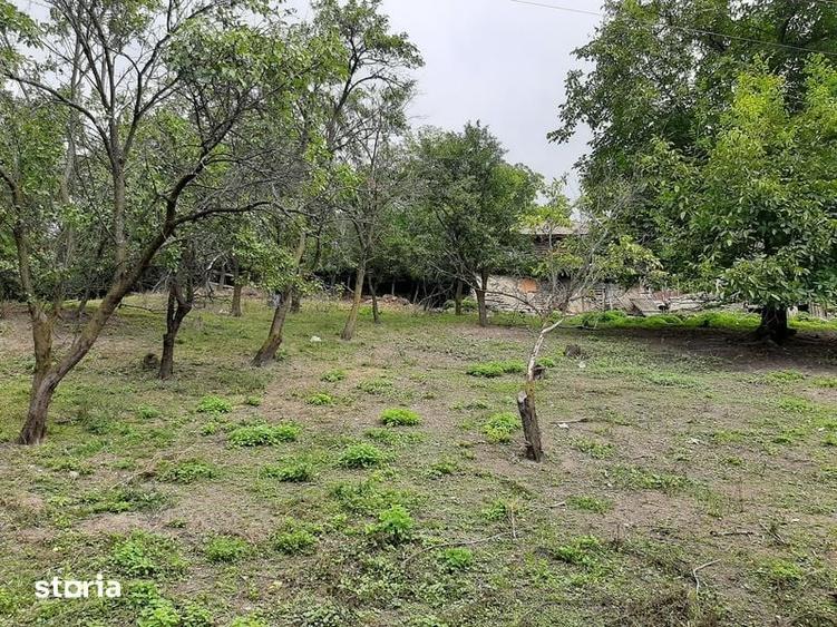 Teren de 1262 mp, în Chiojdu