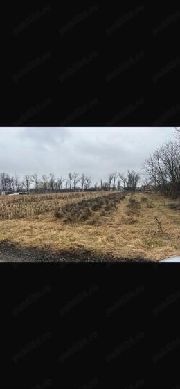 Teren de 1400 mp, în Dumbrăvioara