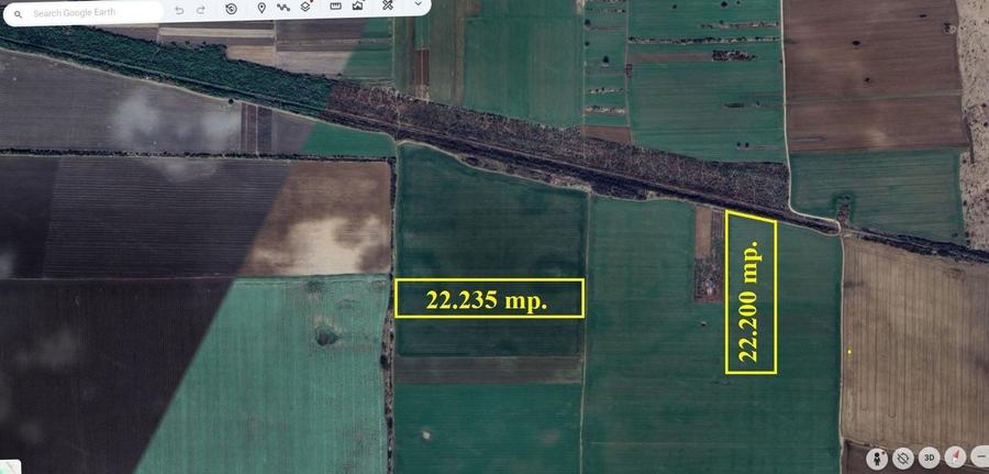 Teren agricol extravilan de 22200 mp, în Grădiștea