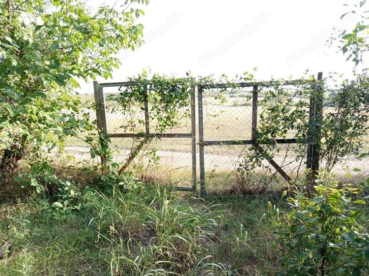 Casă cu Teren 1151 Mp în Ciuchici