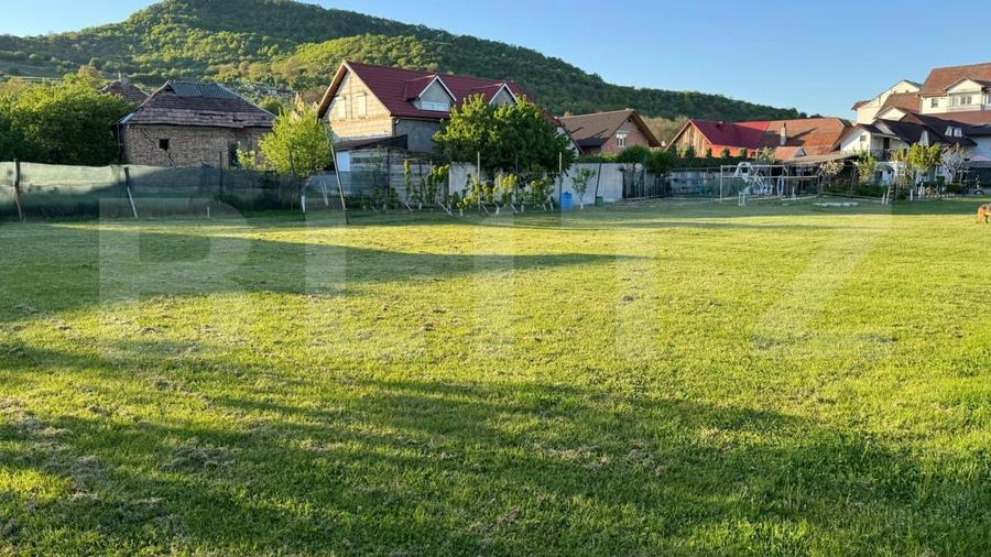 Teren Construcții intravilan de 1500 mp, în Viișoara