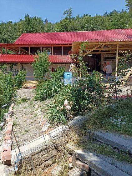 Vand conac de vanatoare in Defileul Dunarii - 4