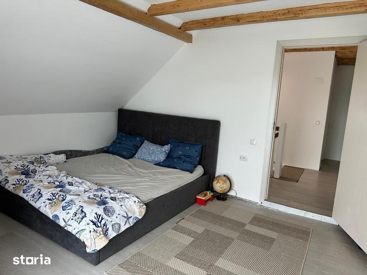 Casă cu 5 camere cu Teren 3029 Mp în Drajna