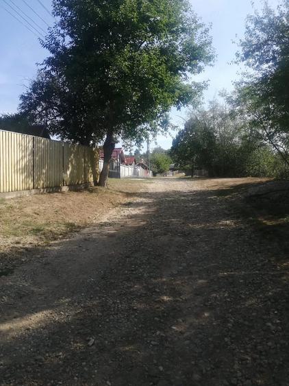 Casă cu 3 camere cu Teren 5000 Mp în Dienci
