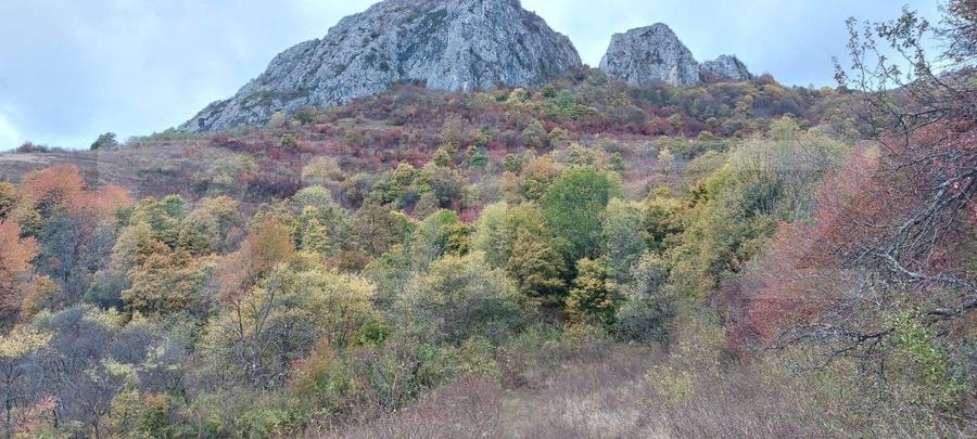 Teren Construcții extravilan de 16121 mp, în Exterior Nord