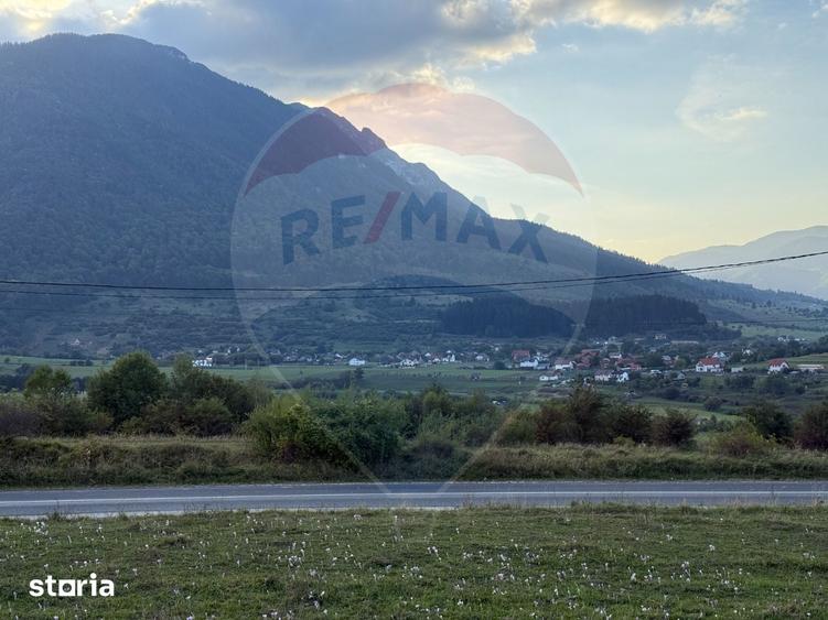 Teren de 646 mp, în Tohănița