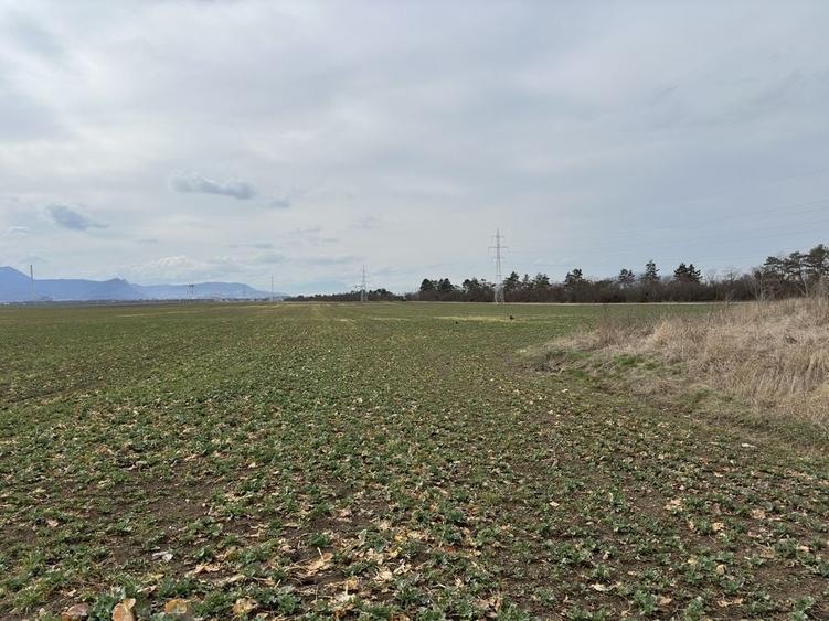 Teren de 33500 mp, în Hărman