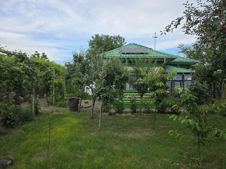Casă cu Teren 1000 Mp în Central